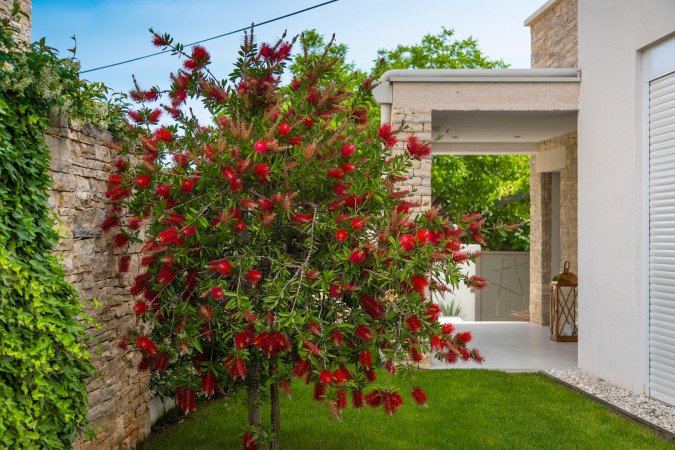 Exterior, Villa White Bella Rovinjsko Selo